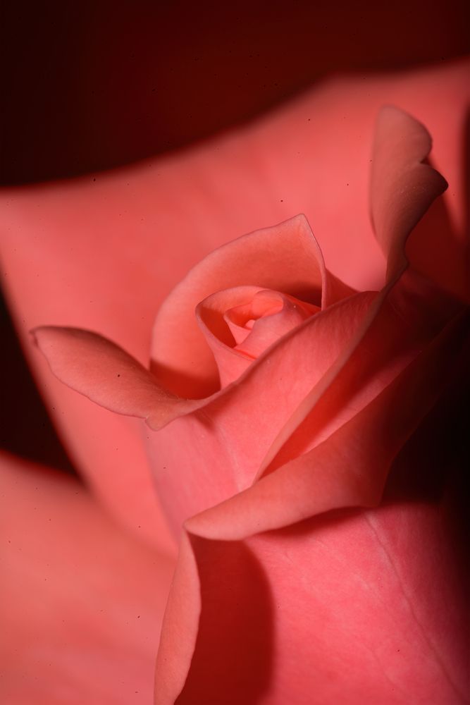 Photograph by Алексей Ванюгин