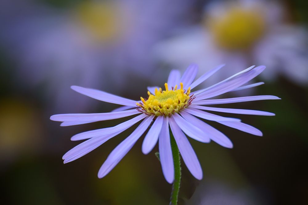 Photograph by Алексей Ванюгин