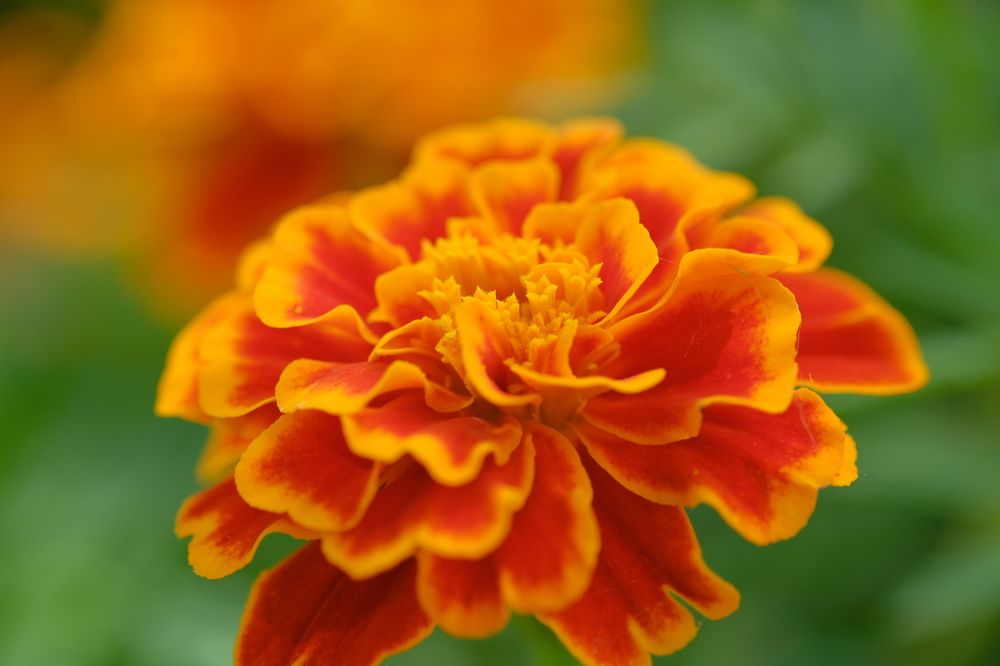 Photograph by Александр Денисов