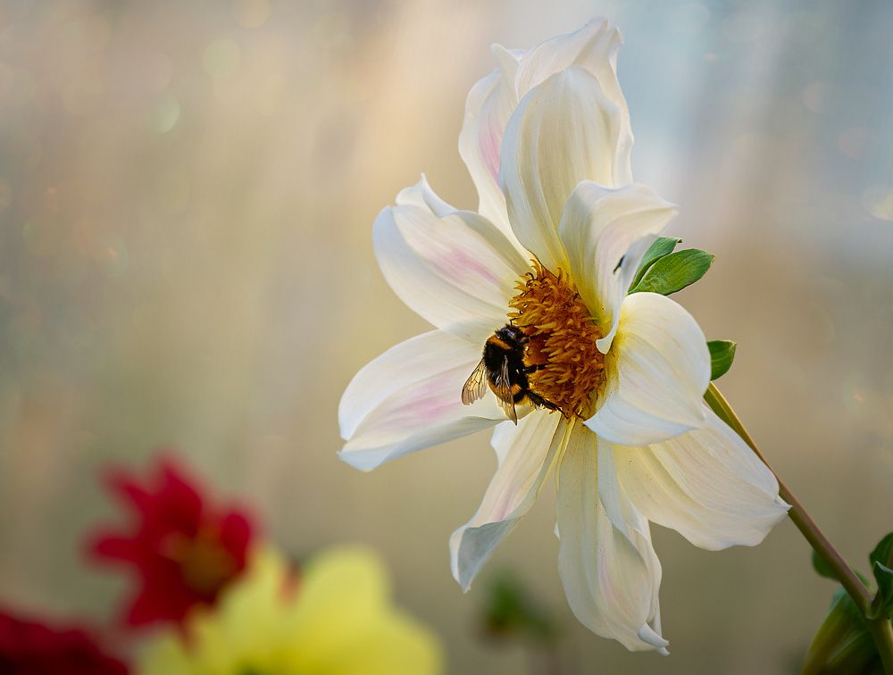 Photograph by Александр Денисов