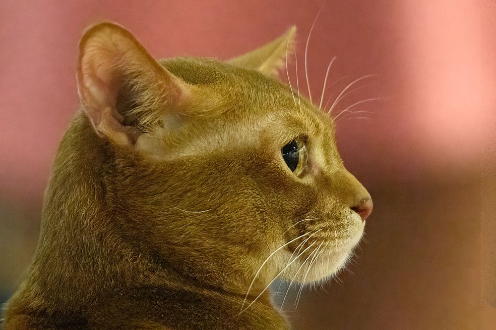 Photograph by Алексей Ванюгин