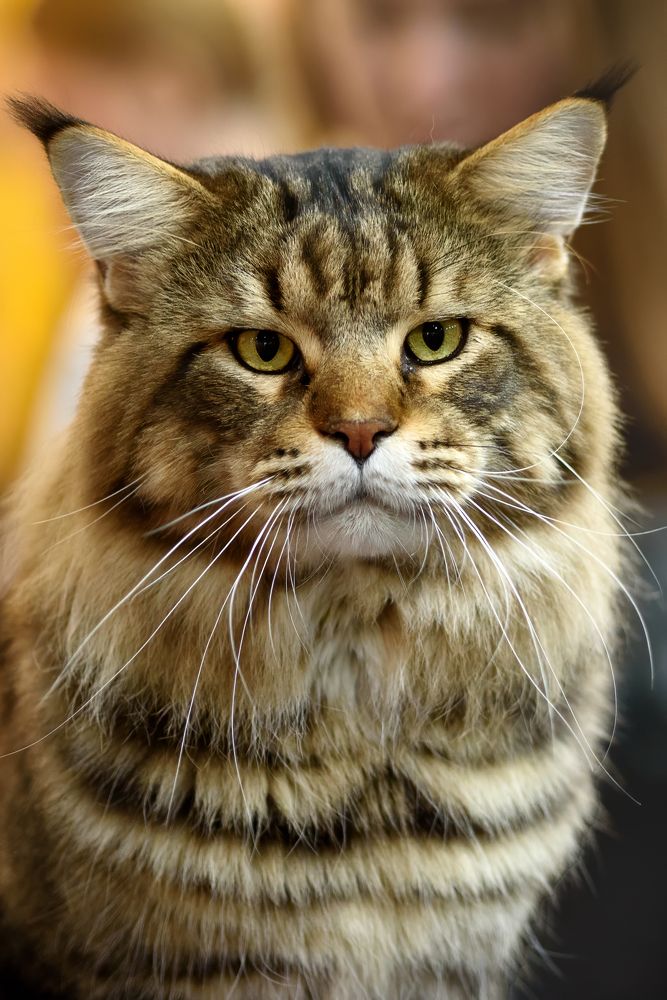 Photograph by Алексей Ванюгин