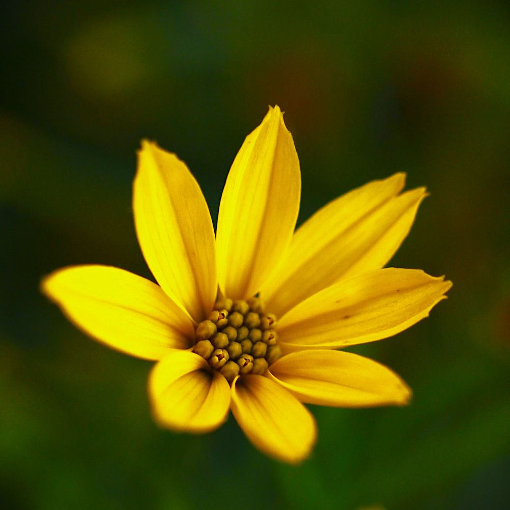 Photograph by Гагик Саркисян