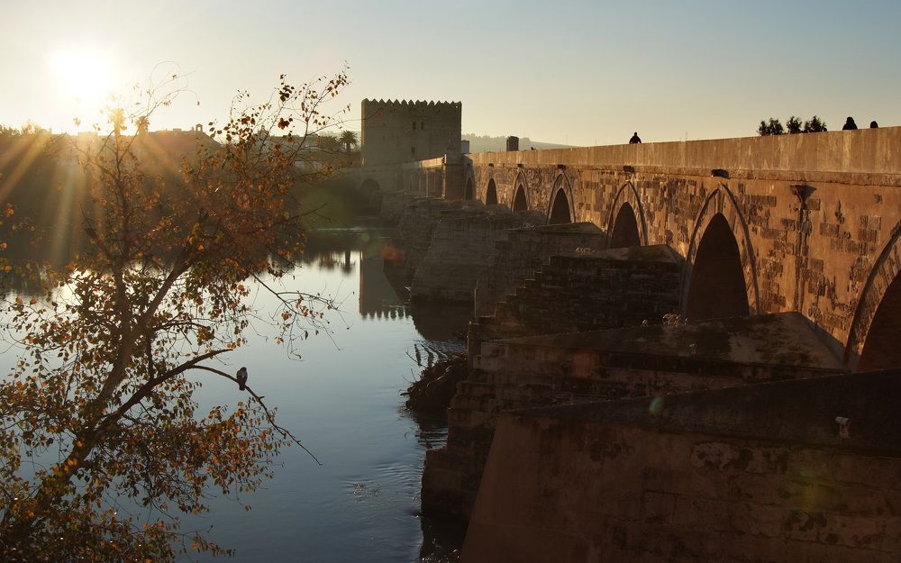 Photograph by Поляков Алексей