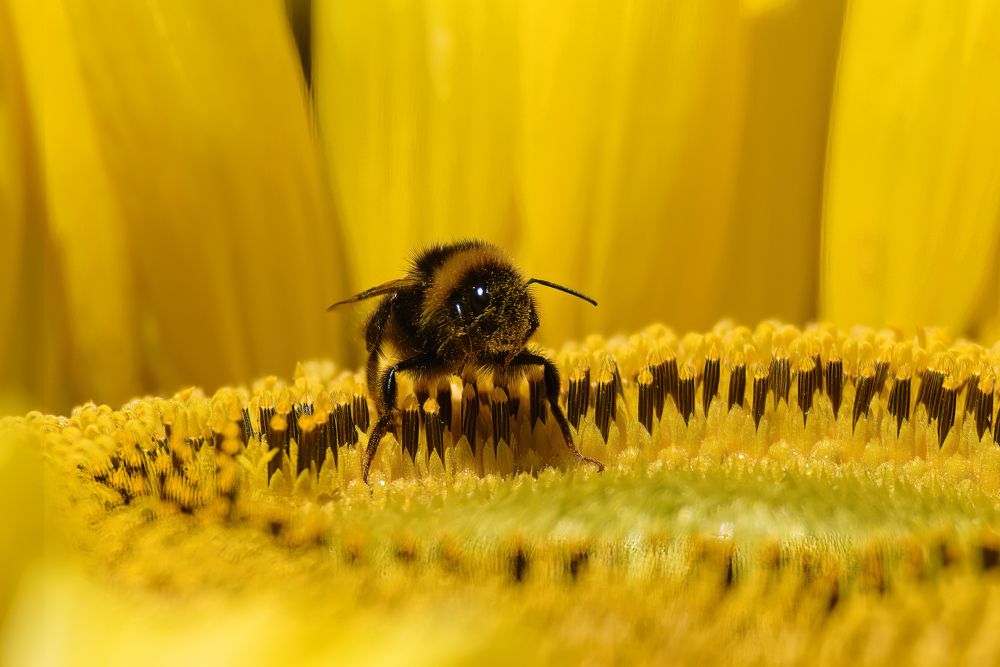 Photograph by Алексей Ванюгин