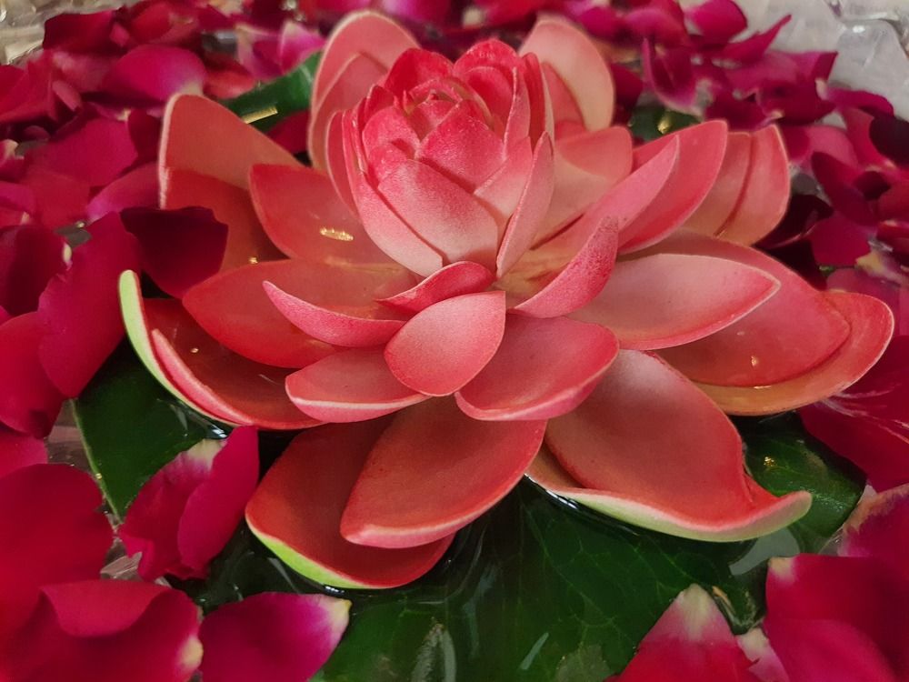 Фотография автора nisha de sousa