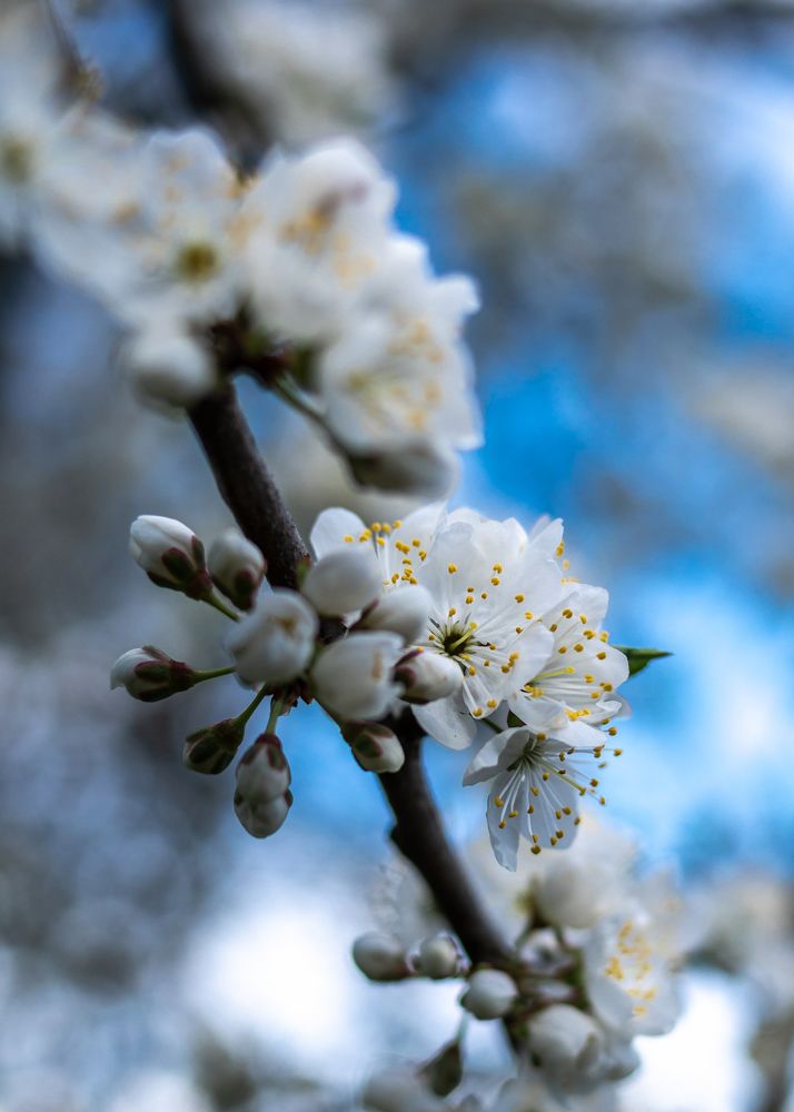 Photograph by Алексей Крукович