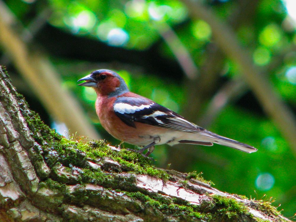 Photograph by Мария