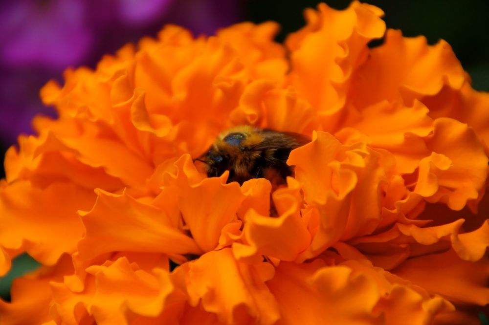 Photograph by Светлана Стрельцова