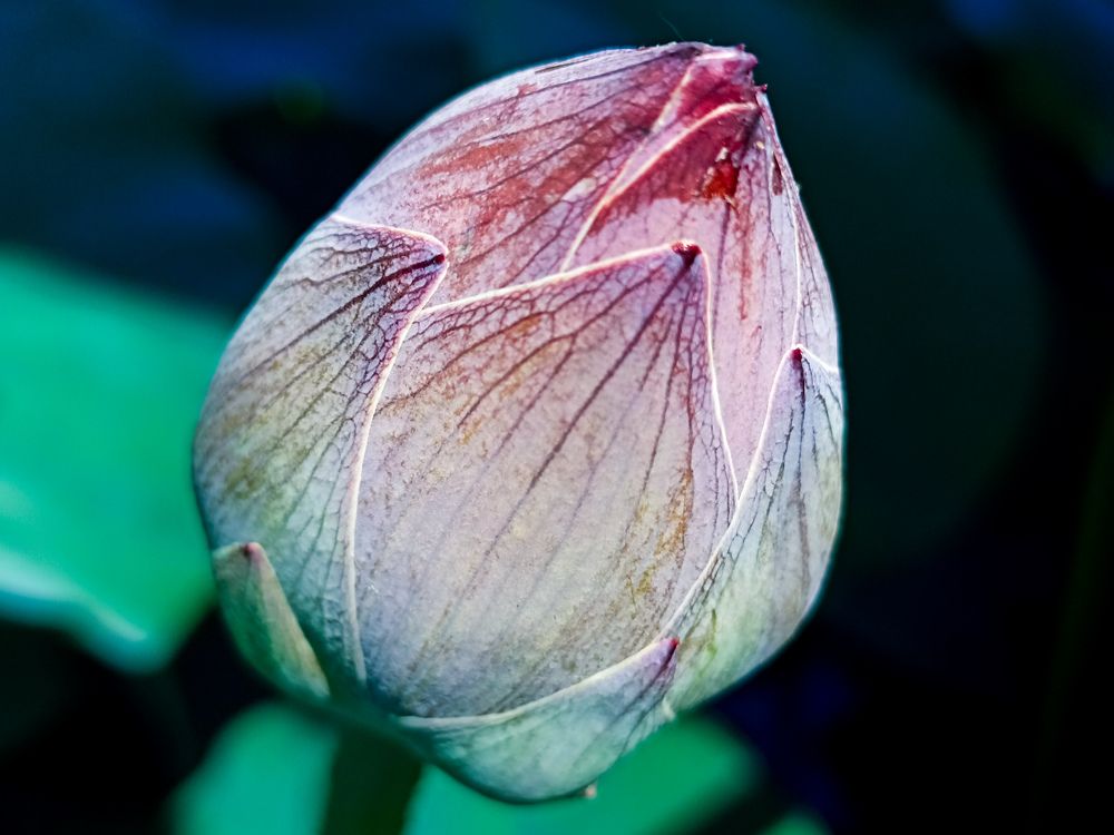 Photograph by Мария