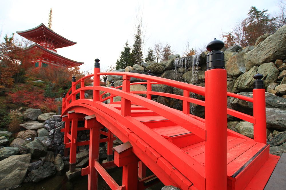 Photograph by Сергей Кульков