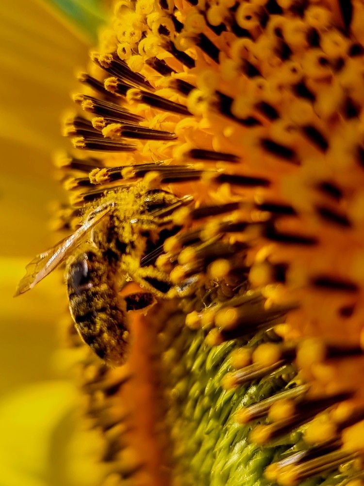 Photograph by Лидия Лащева