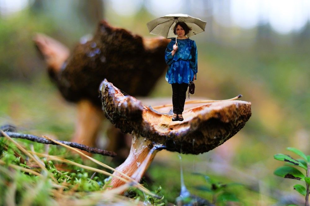 Photograph by Владимир Грибков