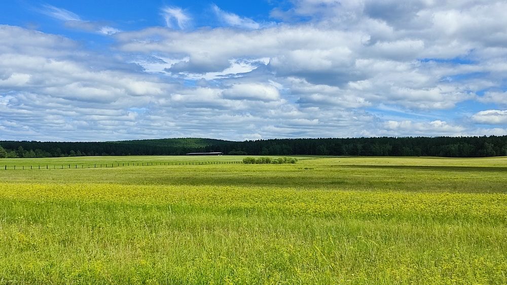 Photograph by Marina Selina