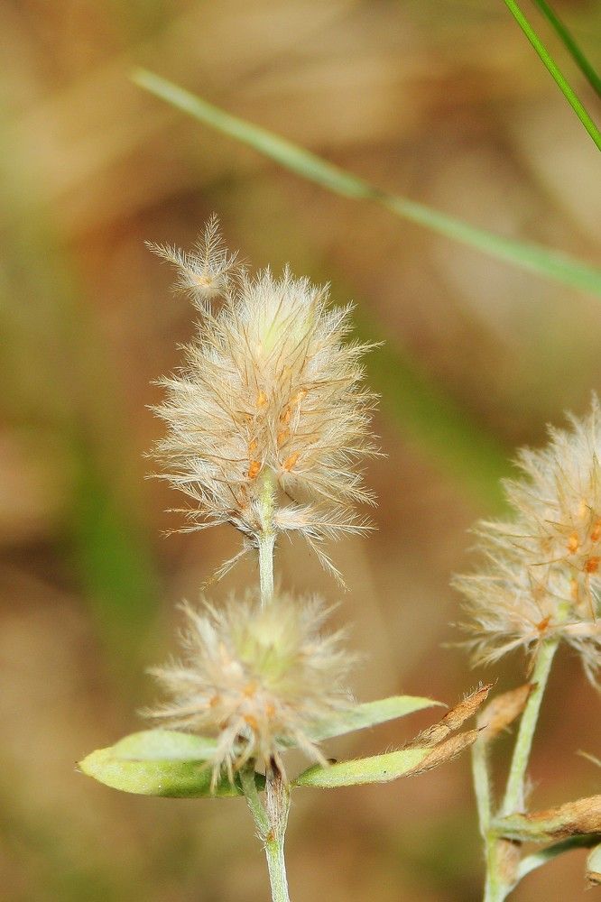 Фотография автора Геннадий Титов