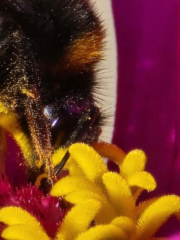 Фотография автора Ирина Шпаковская