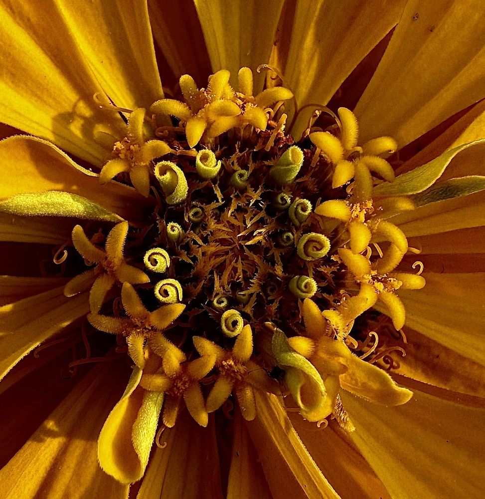 Photograph by Гуляева Светлана