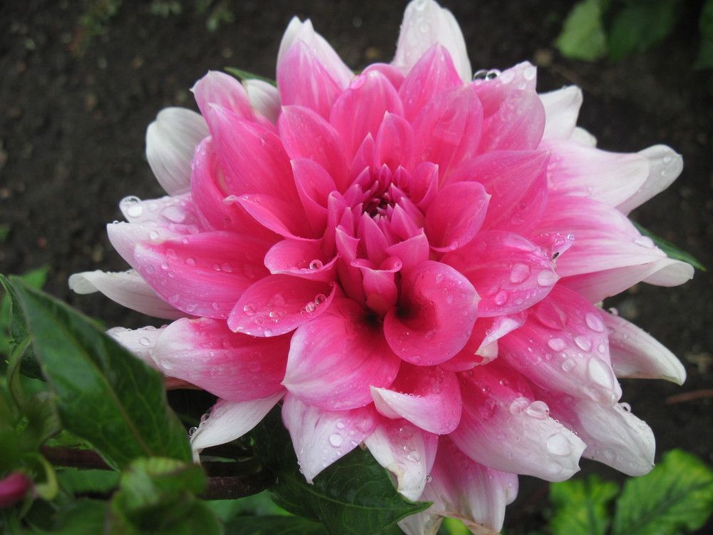 Фотография автора Георгий Самусевич