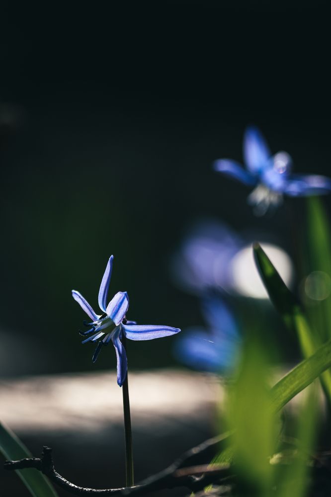 Фотография автора Илья Малеев