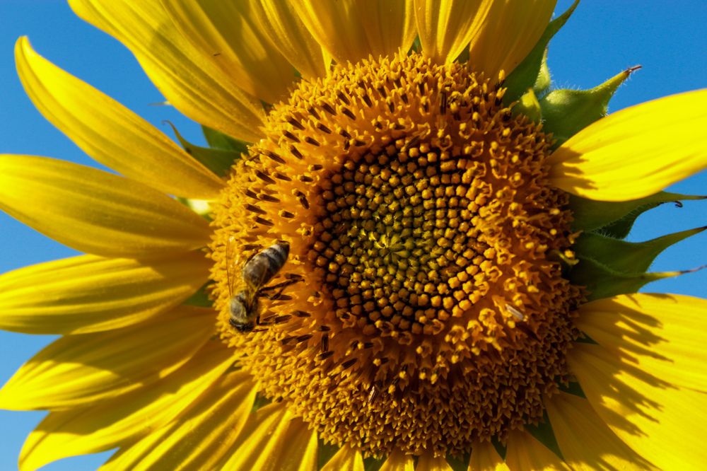 Photograph by Мария