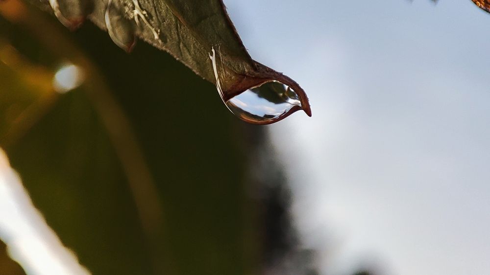 Photograph by Marina Selina