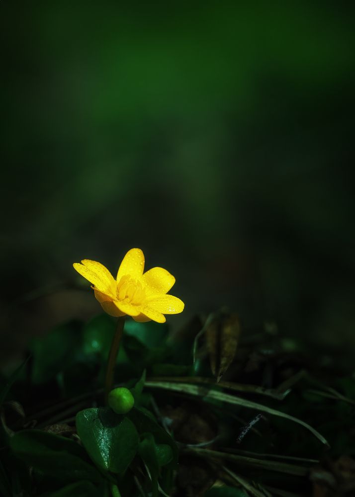 Photograph by Михаил Загрядский