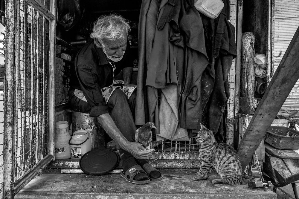 Photograph by Amirhossein Yousefi Keysari