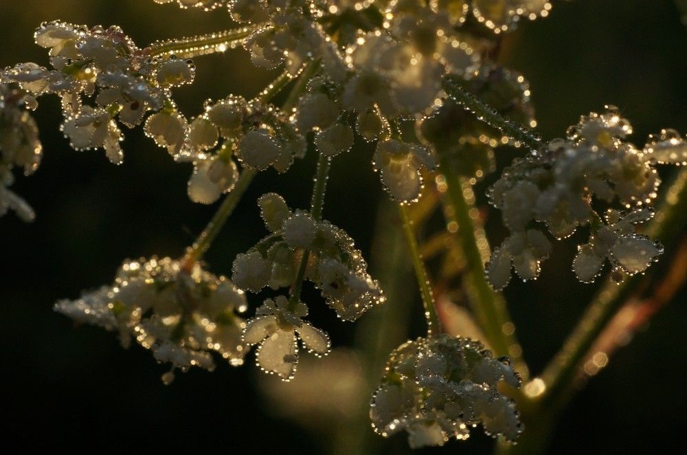Photograph by Наталья Горбунова