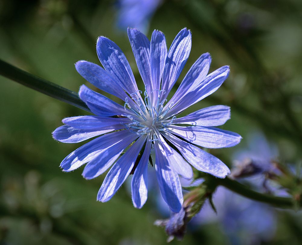 Photograph by Inna Ivanova