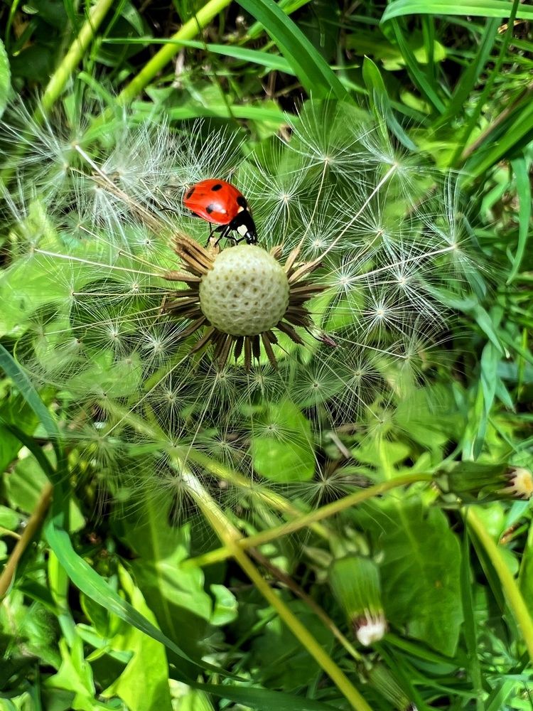 Фотография автора Екатерина Ефанова