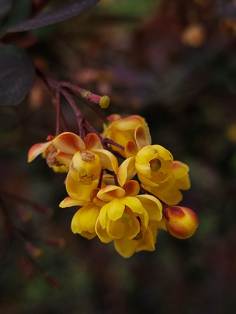 Photograph by Анна Чичилова