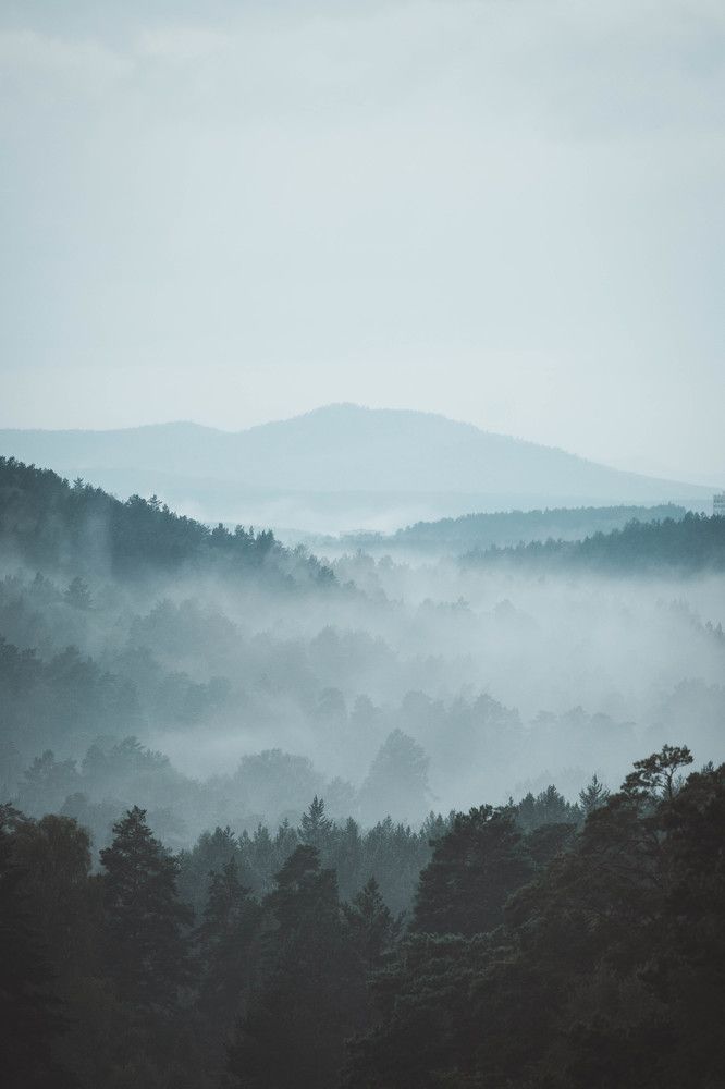 Photograph by Иван Кривоносов