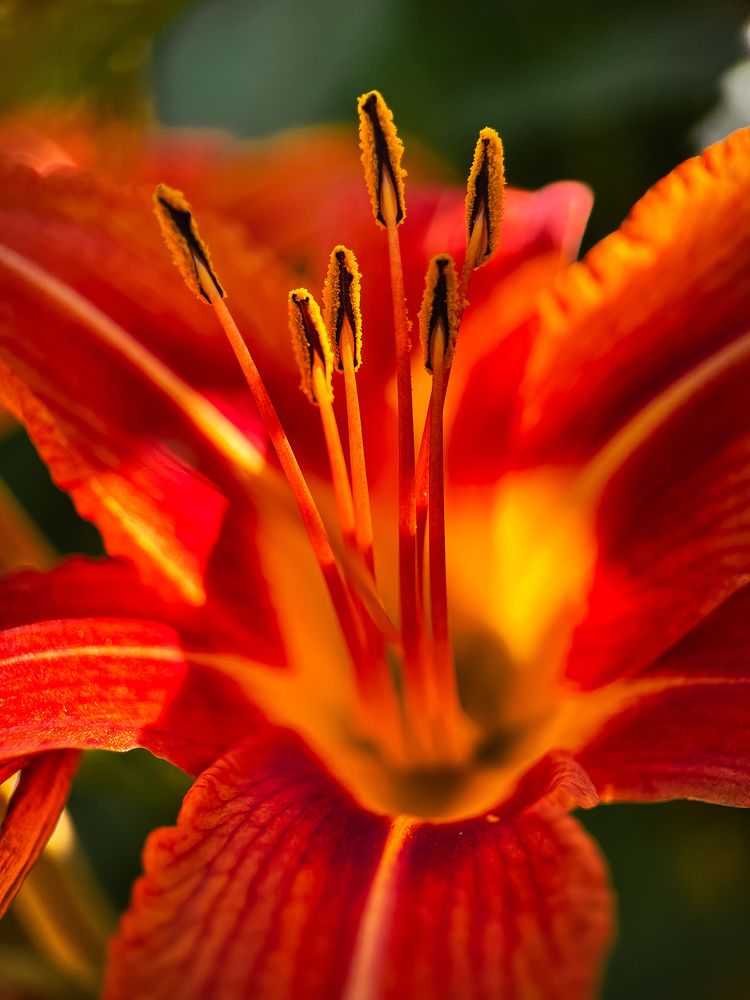 Photograph by Екатерина Валиуллина