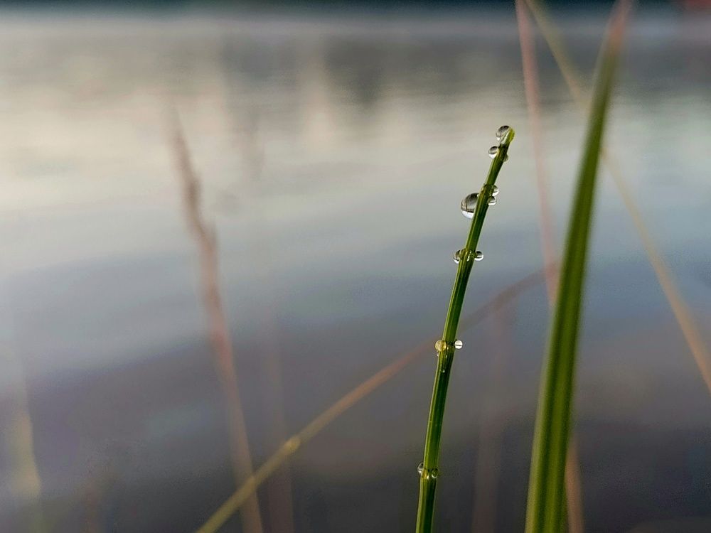 Photograph by Александра Ламанова