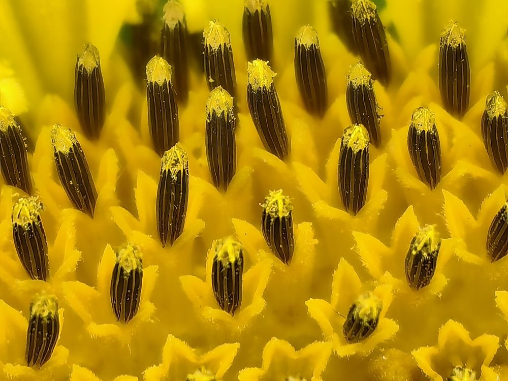 Photograph by Shahid Siyal