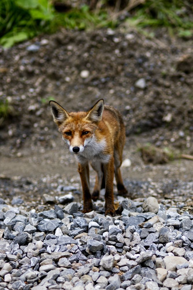 Photograph by Catalina Burlacu