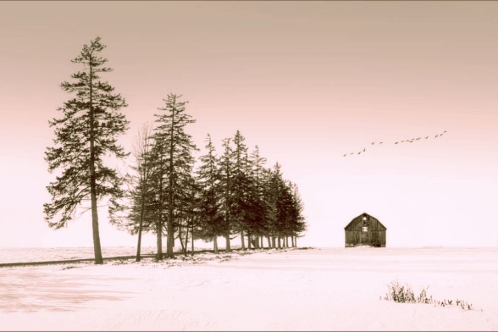 Photograph by m farzolahi