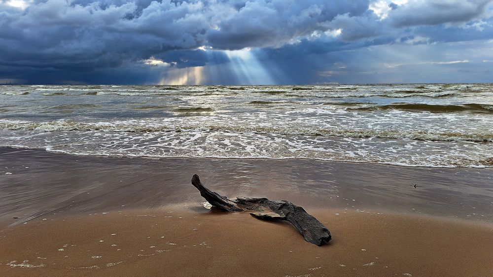 Photograph by Игорь Овсиенко