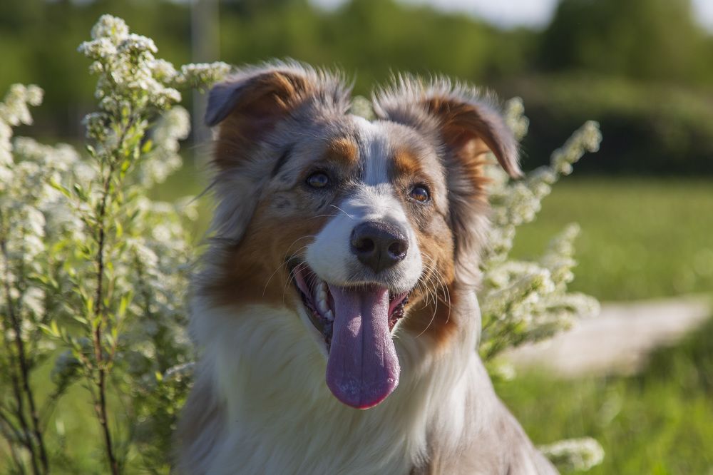 Фотография автора Полина Жаринова