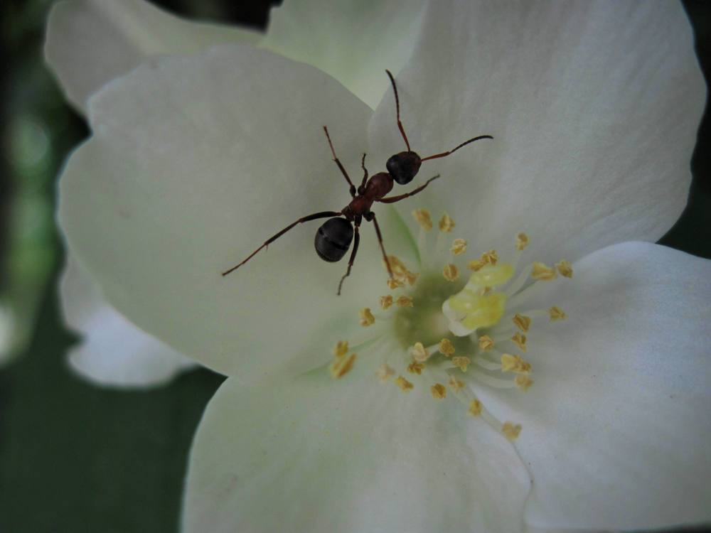 Photograph by Viktoriia Rusanova