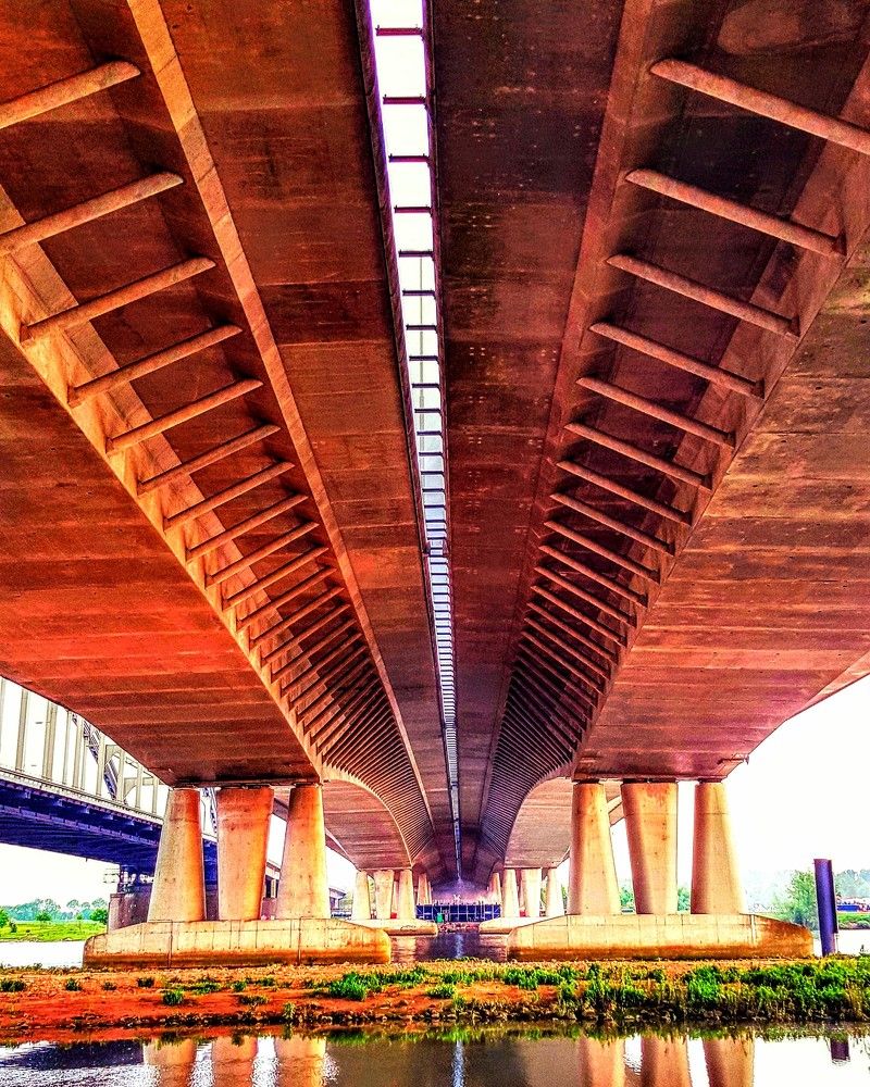 Photograph by Iris de Vos