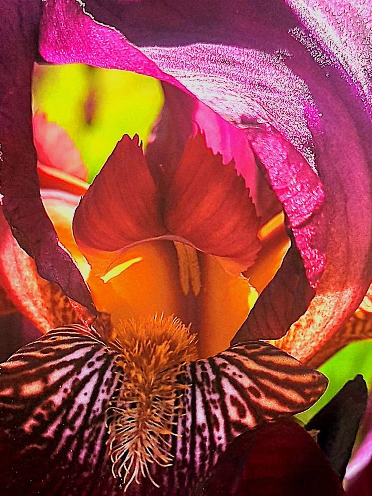 Photograph by Елена Никитина