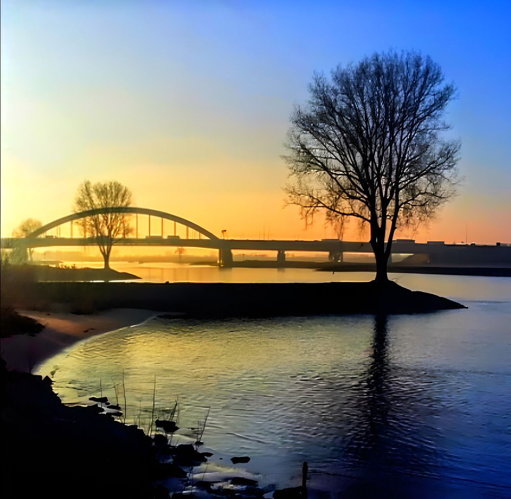 Photograph by Iris de Vos