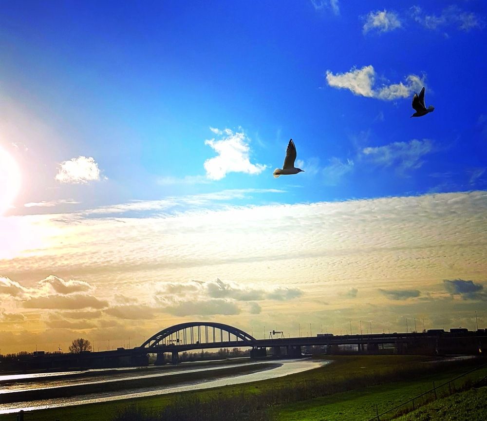 Photograph by Iris de Vos