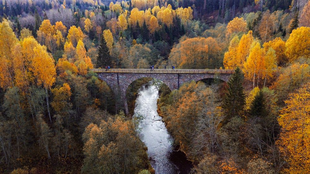 Photograph by Третьякова Анастасия