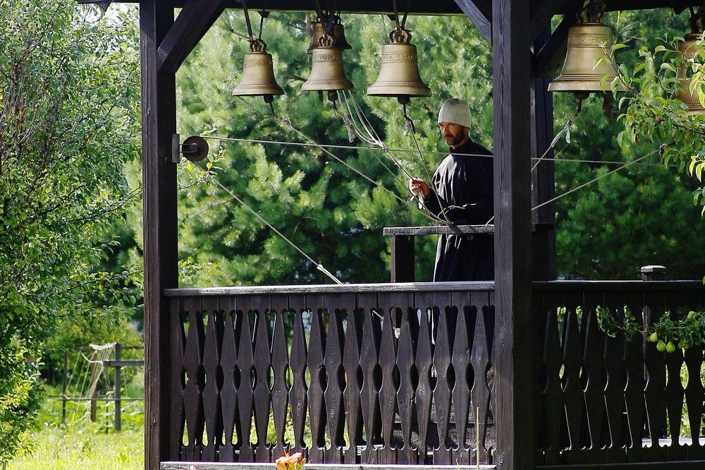 Фотография автора Геннадий Титов