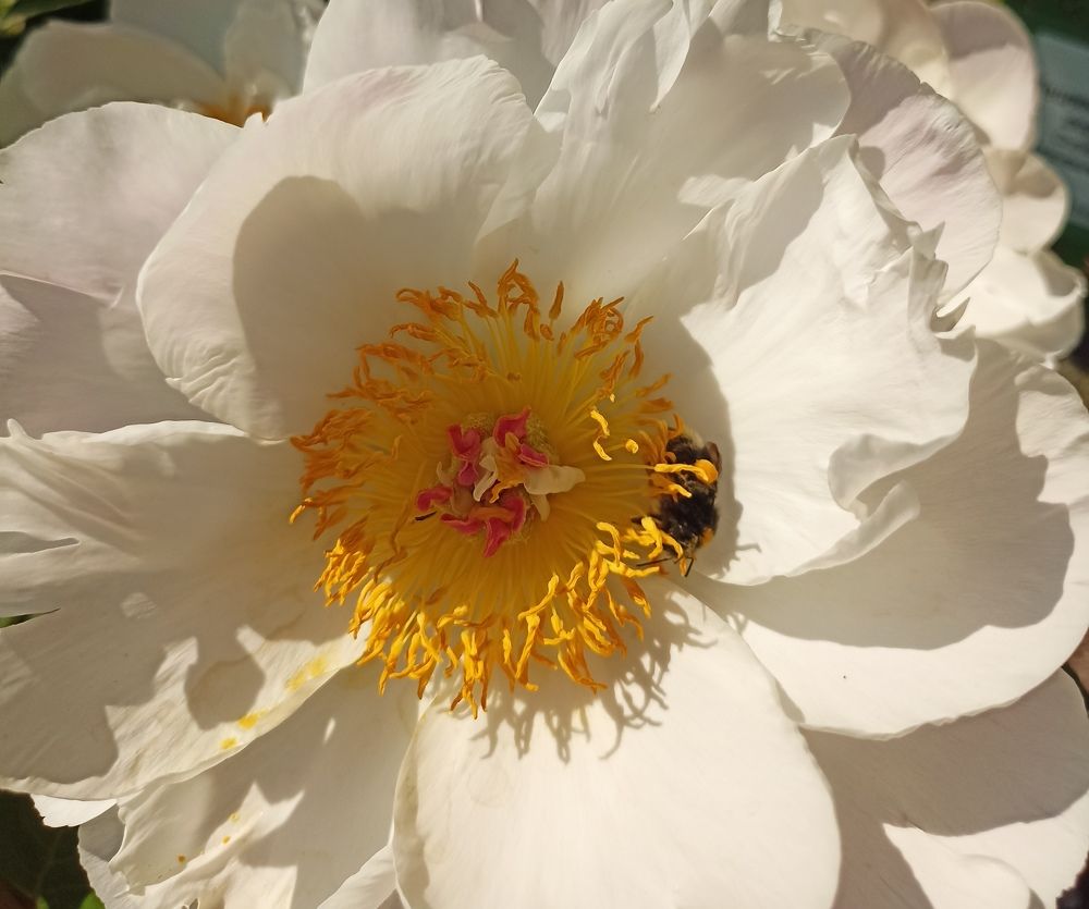 Photograph by Татьяна Смирнова