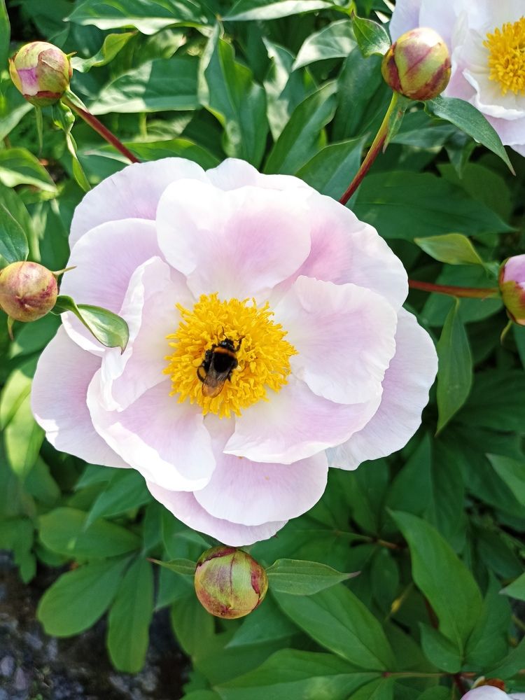 Photograph by Татьяна Смирнова