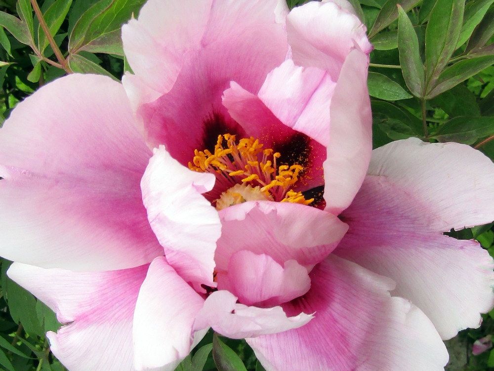 Photograph by Татьяна Смирнова