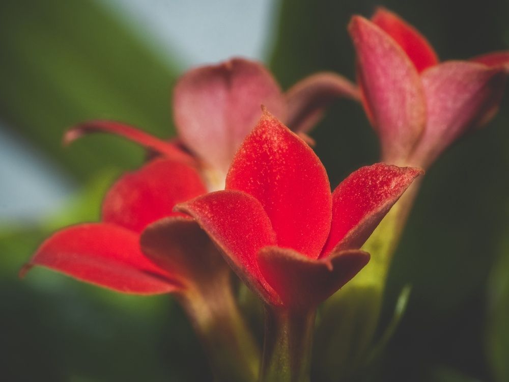 Photograph by Владимир Поздняков